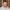 Bio mark davis 500px by 500px may 2015 web.jpg?ixlib=rails 4.0
